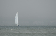 372-1.jpg