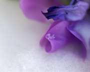 002-1